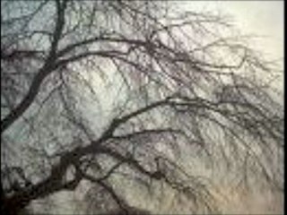 Mano Solo :"Des années entières"  (10 janvier 2010)