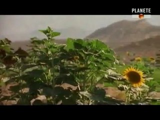 Islam empire de la foi 5