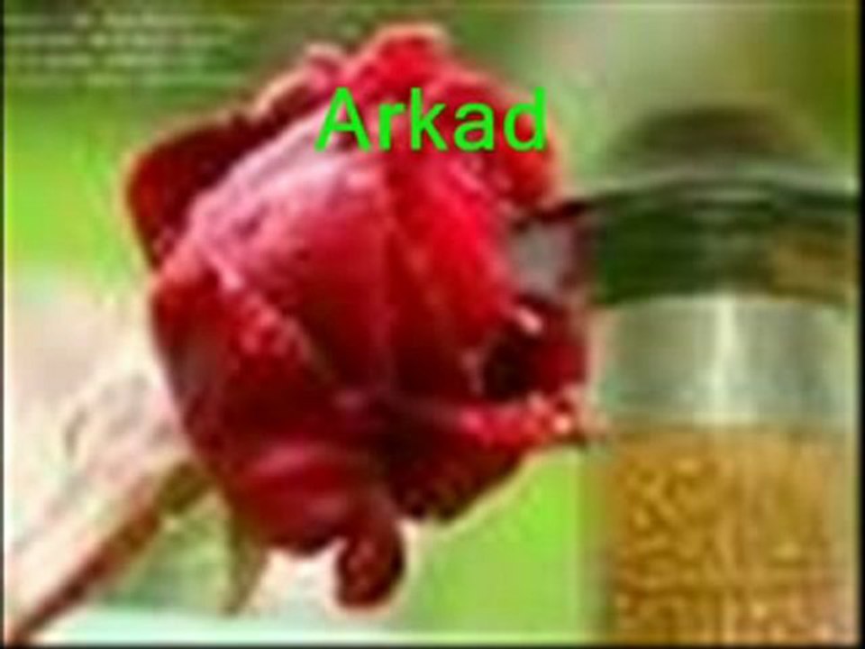 Ilahi Sevenler