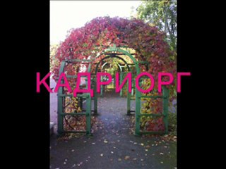 Кадриорг Таллинн Эстония