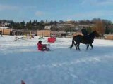 petit tour de luge derrière violette!!