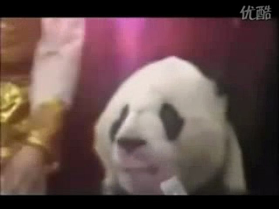 panda