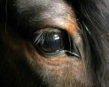 valley of angels / our heaven on earth / our proud