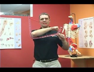 How to Strengthen the Internal Rotators of Your Shoulder