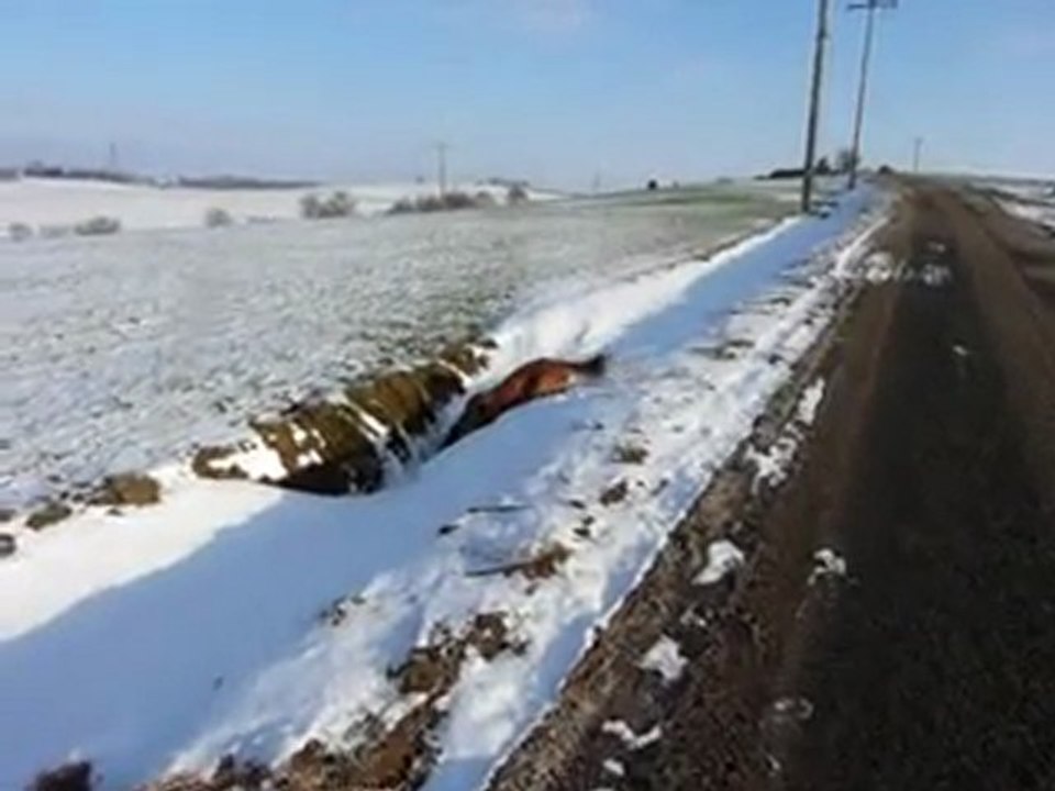 deushka joue avec la neige