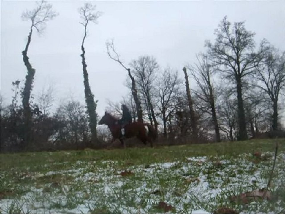 Radjah début janvier 2010