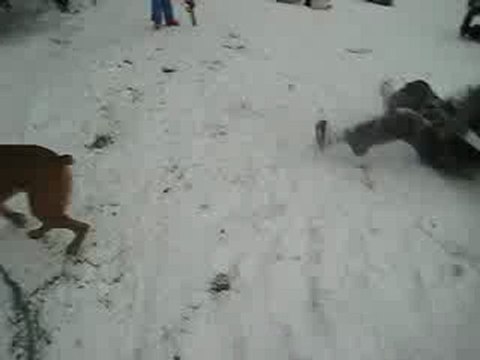 neige janvier 2010, piste sarra