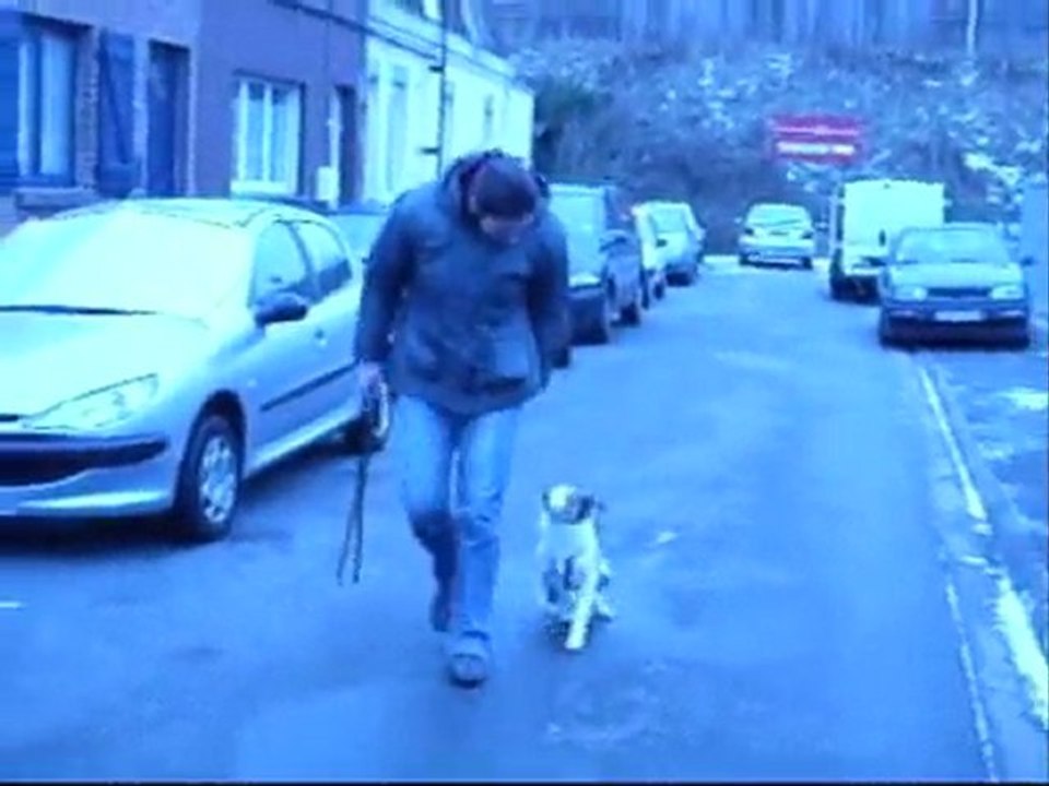marche au pied