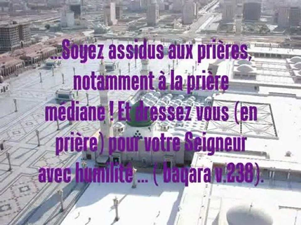 tariq ramadan et le réformisme