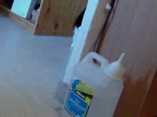 La patatine et ses drôles de sons quand elle joue