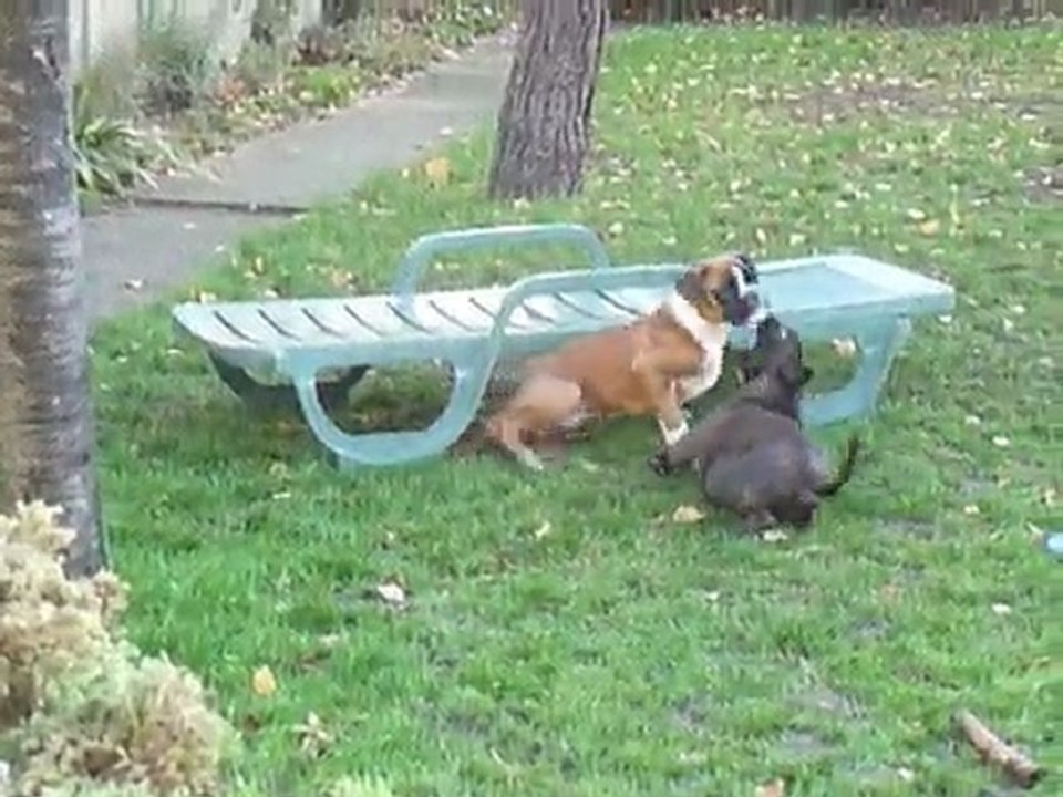 EWANE et EOLE dans le jardin - Décembre 2009