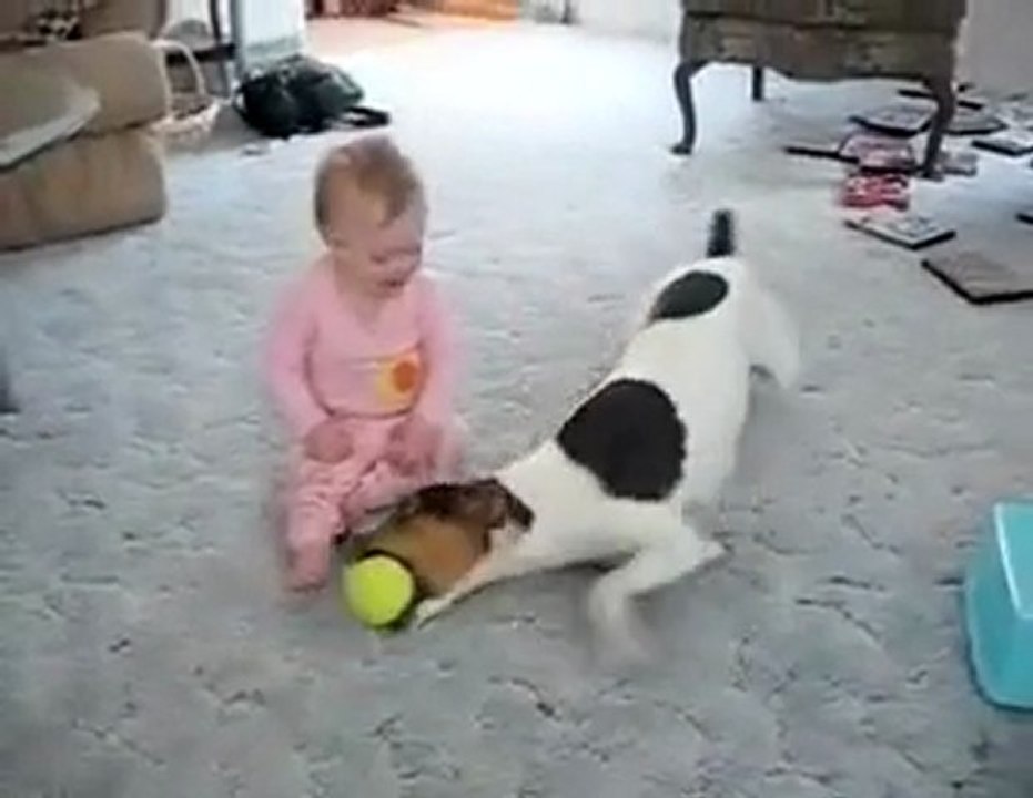 Bebek ve Köpek