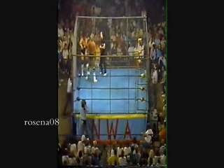 wahoo mcdaniel vs magnum ta u.s. title