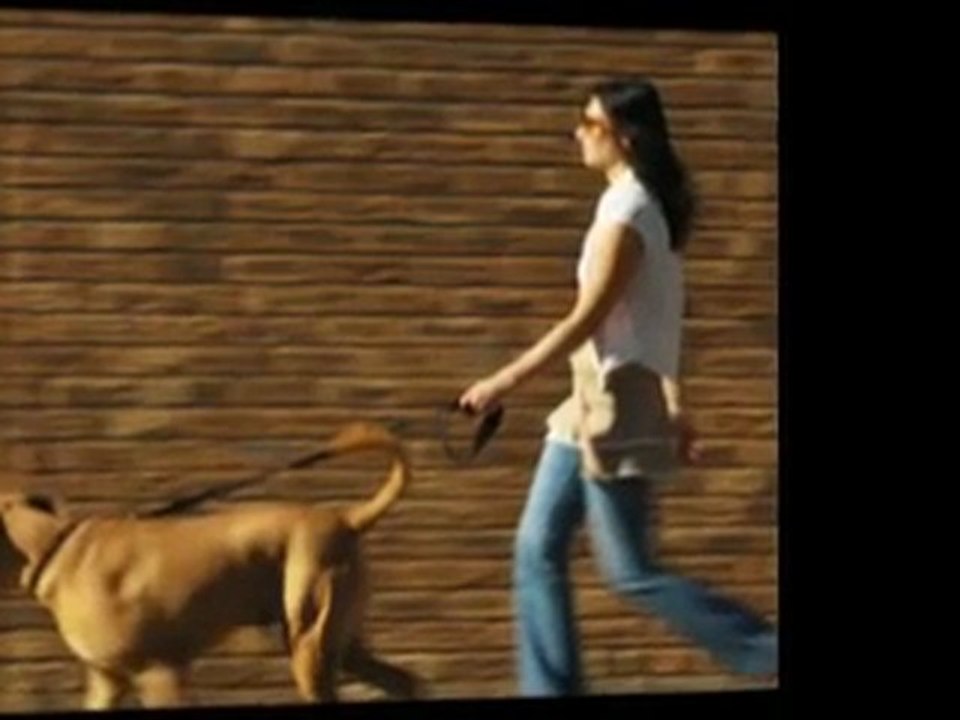 Enjoy Your Freedom Working From Home Online Marketing Buss