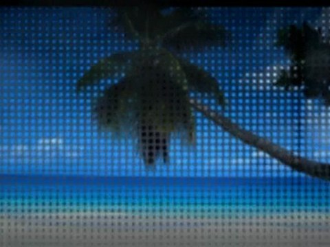 Positive Online Income Work At Home Network Marketing Opp