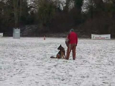 Dieter entrainement mordant (reprise)