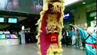 Chinese lion dance costume