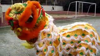 Chinese lion dance costume