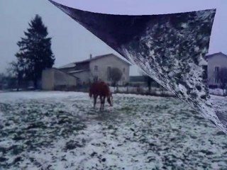 ulis dans la neige