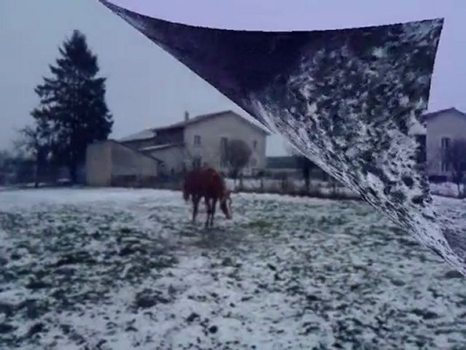 ulis dans la neige