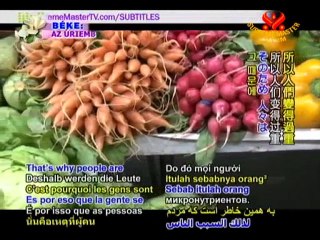 Improving Your Health Through a Plant-Based Diet, P1/3