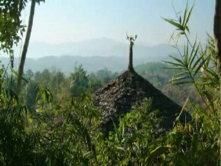 Live Performances and Voice Lessons @La CoffeeMelodie Suite