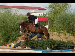Doubles Poneys Du Rouget