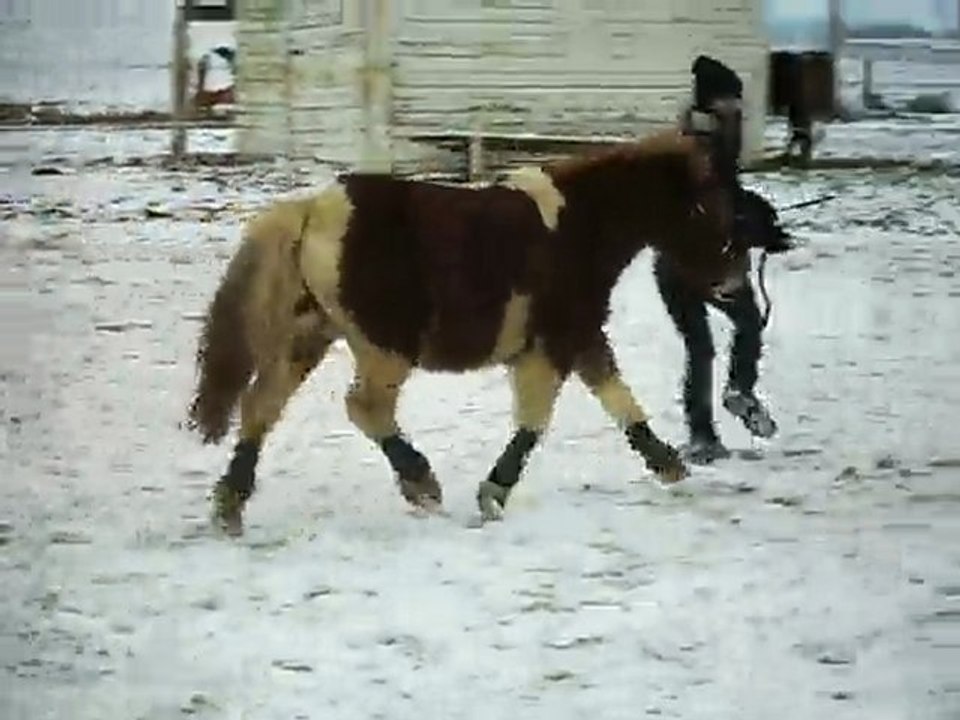 Sun et moi début de stick to me au galop