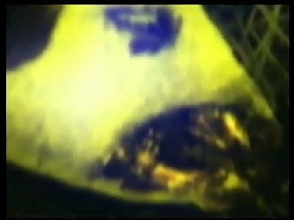 Dossiers Ovni - 06 - Mutilations Animales - 47m25s (FR)(1)