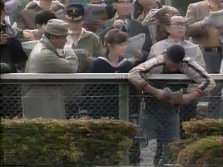 ネコノトピアネコノマニア