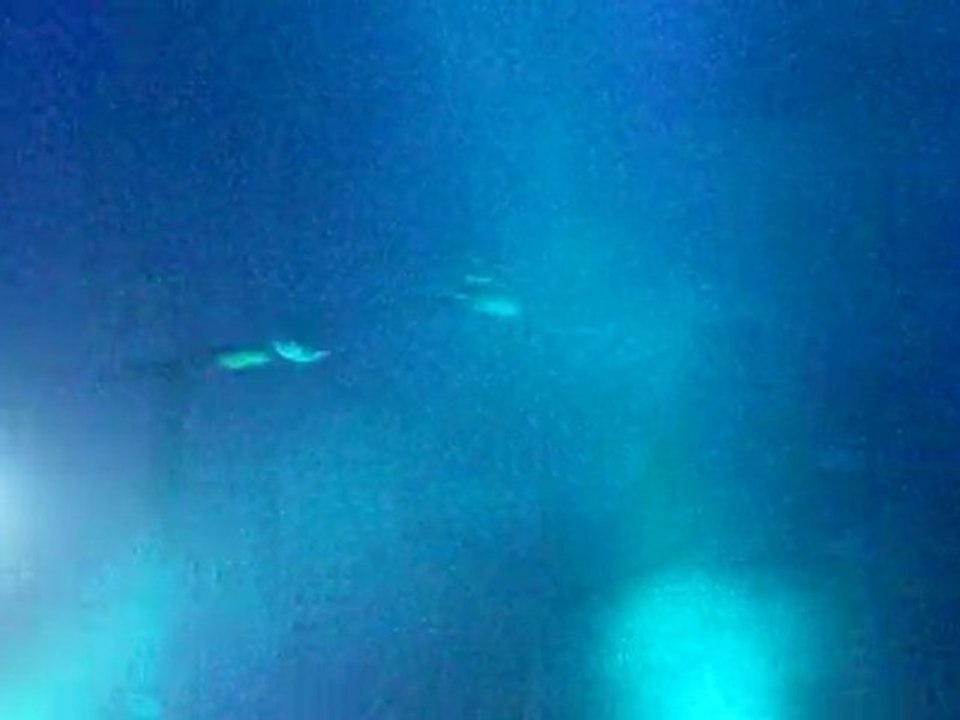 Marilyn Manson - Sweet Dreams - Lille, 06-12-09