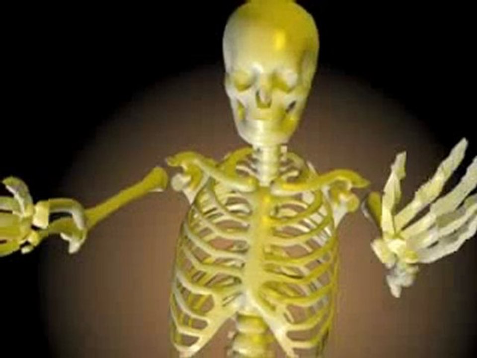 L'Argent Dette n°2  2/5 Promesses Chimériques 2010