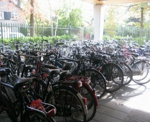 journal tele breda 2009