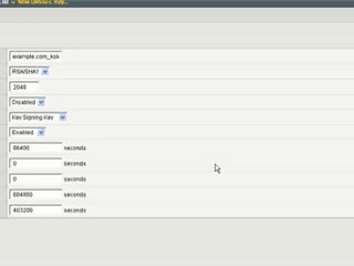 In 5 Minutes or Less-Secure DNS with BIG-IP v10.1 DNSSEC