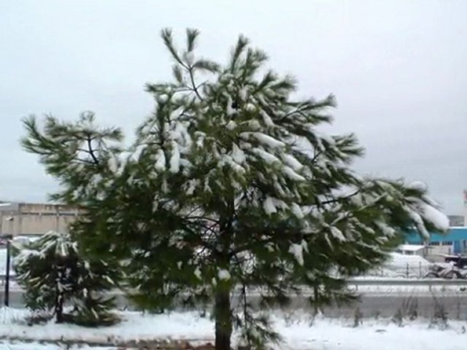 Neve em Castelo Branco