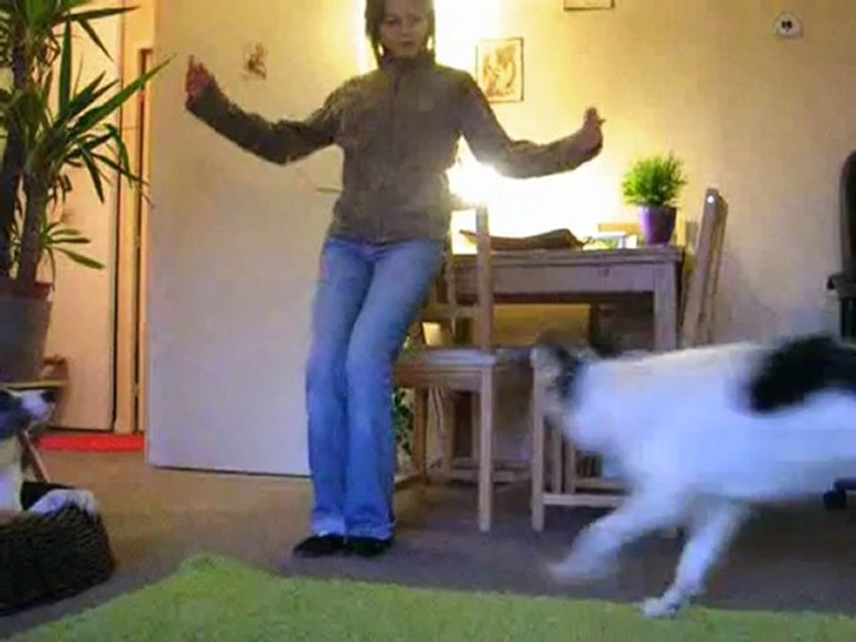 Saut dans les bras 2