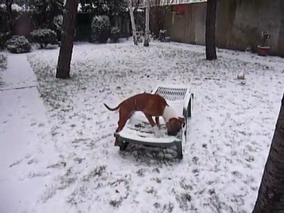 EWANE et EOLE dans la neige - Décembre 2009 vol.1