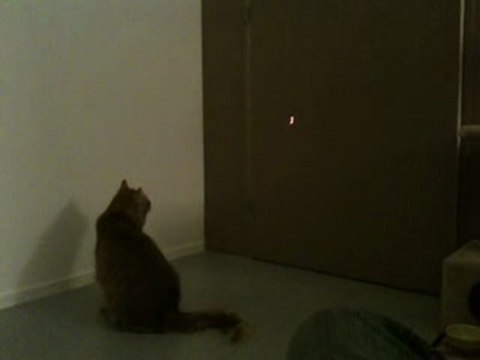 Domino court après un faisceau laser