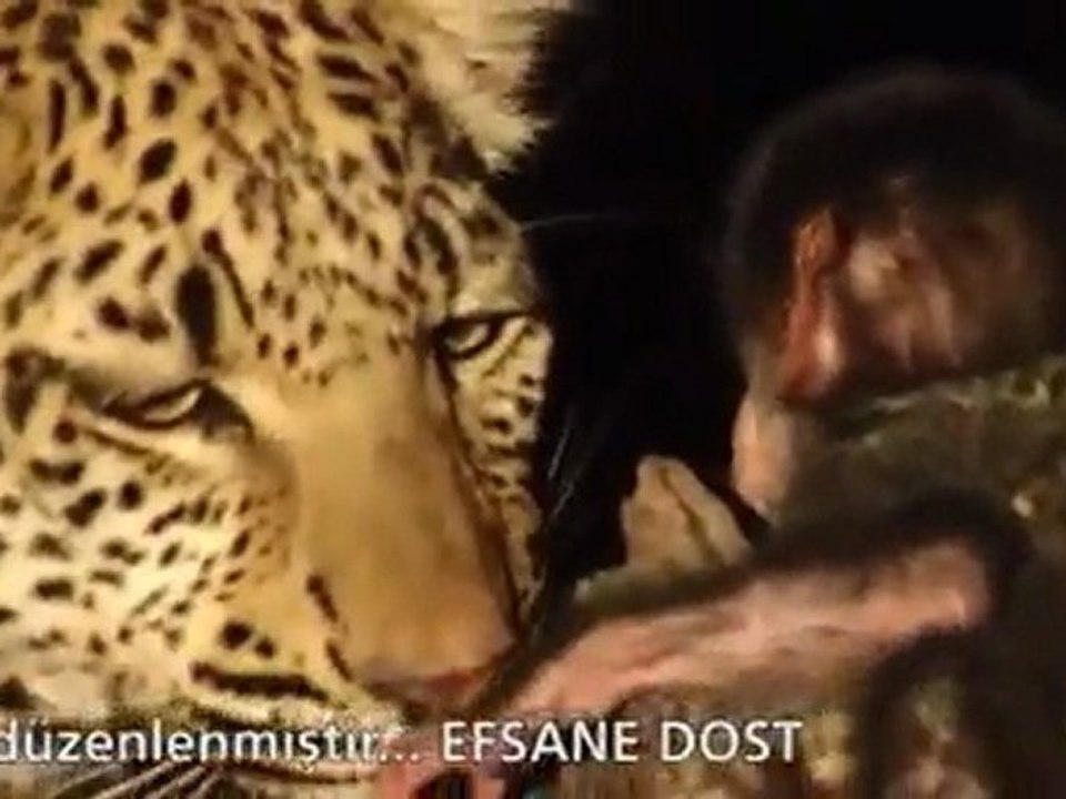Leoparın Merhameti