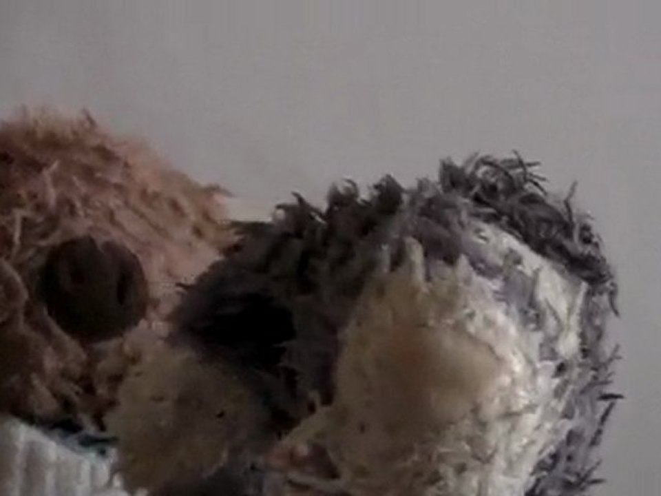 Lapinou et Grumigou