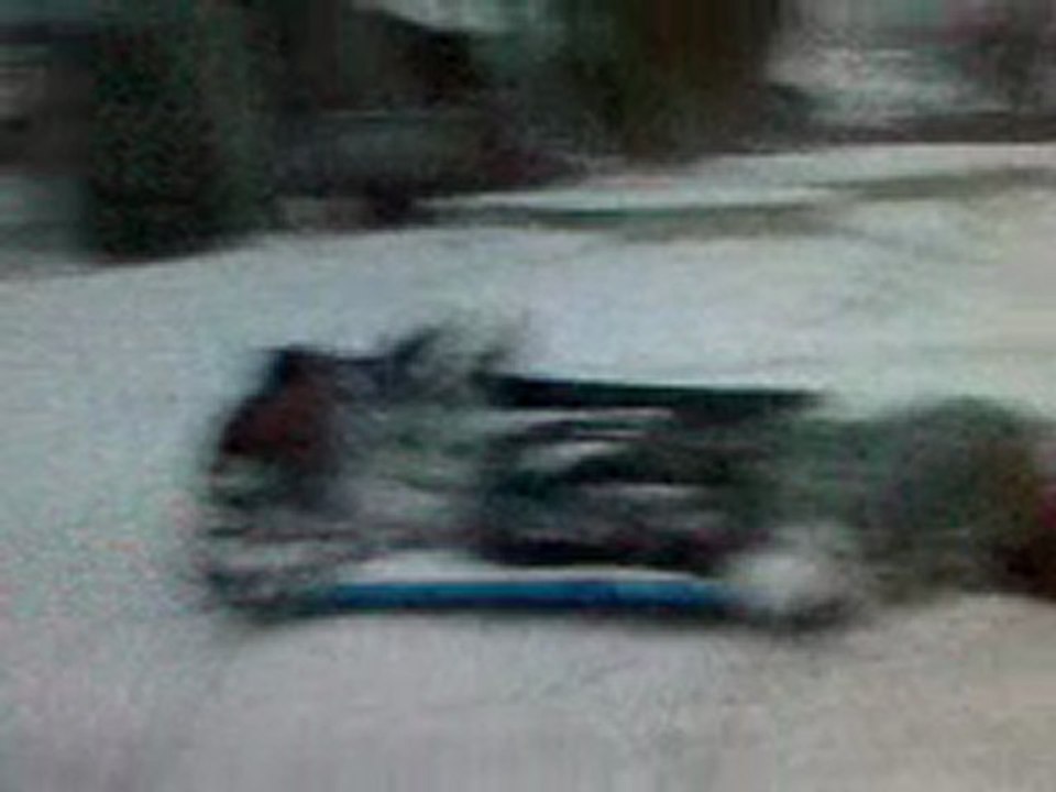 luge d'hivers