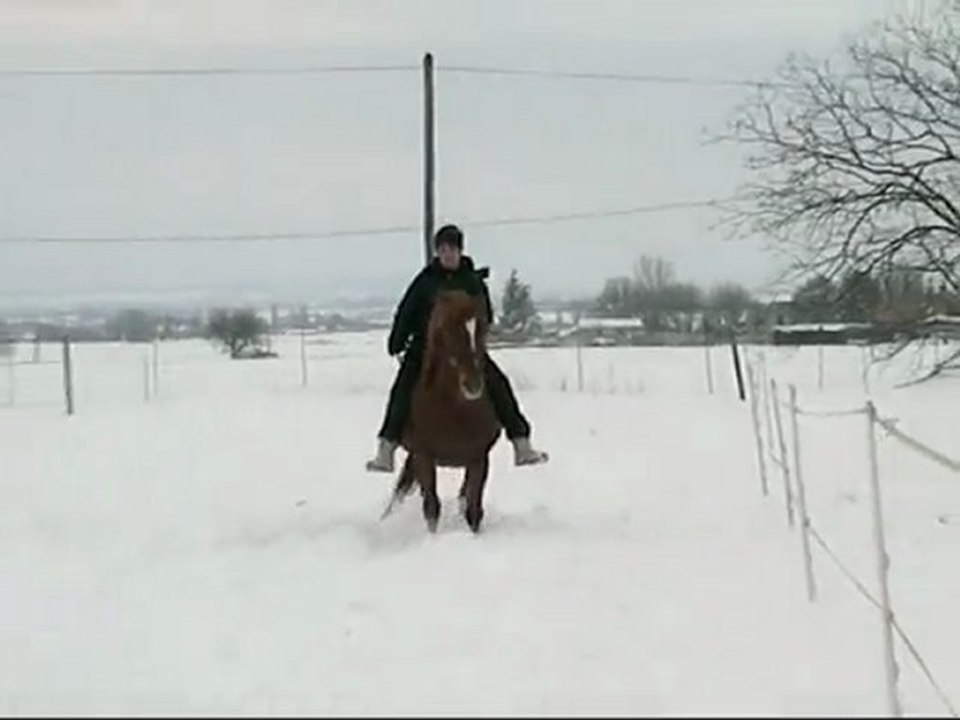 Ma Hookya dans la neige