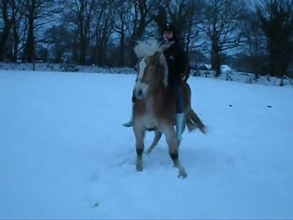Séance Du 11 janvier dans la neige