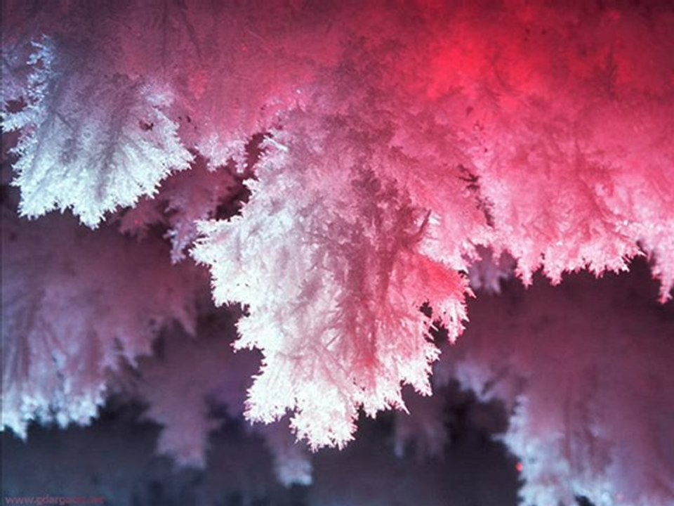 tobby presente les plus beaux paysages d'hiver