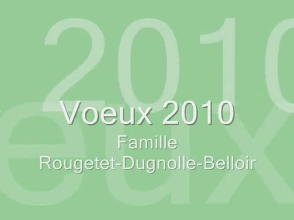 Voeux2010