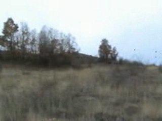 Drahthaar Fermasında Kekliğe Manke Atış