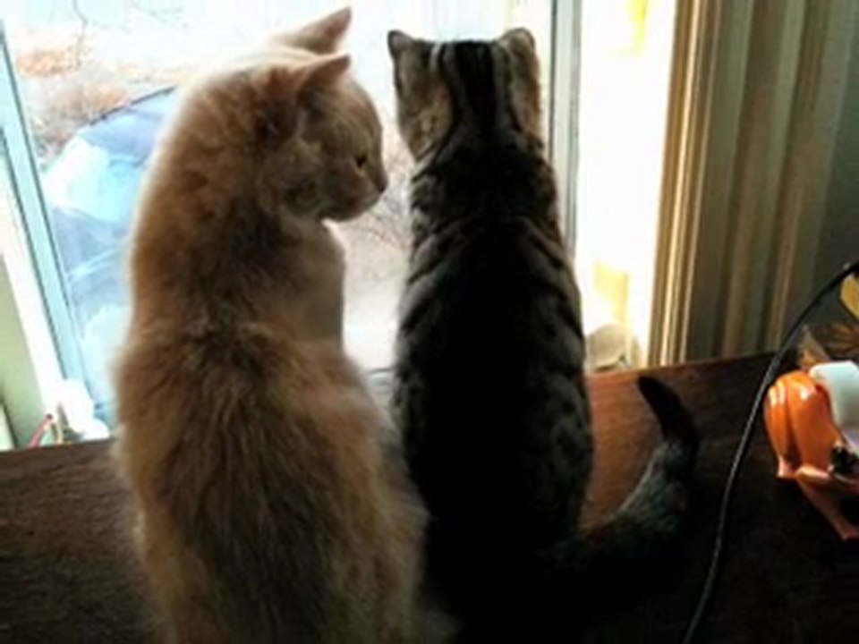 ANNA & PURNA IN WINTER (5)