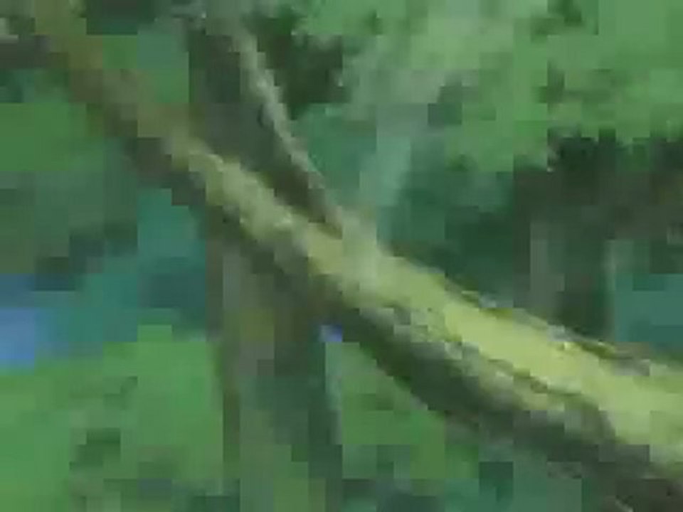 NARUTO AMV