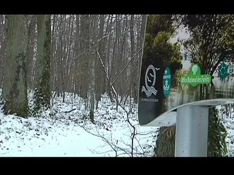 Quand l'Aube revêt son blanc manteau !