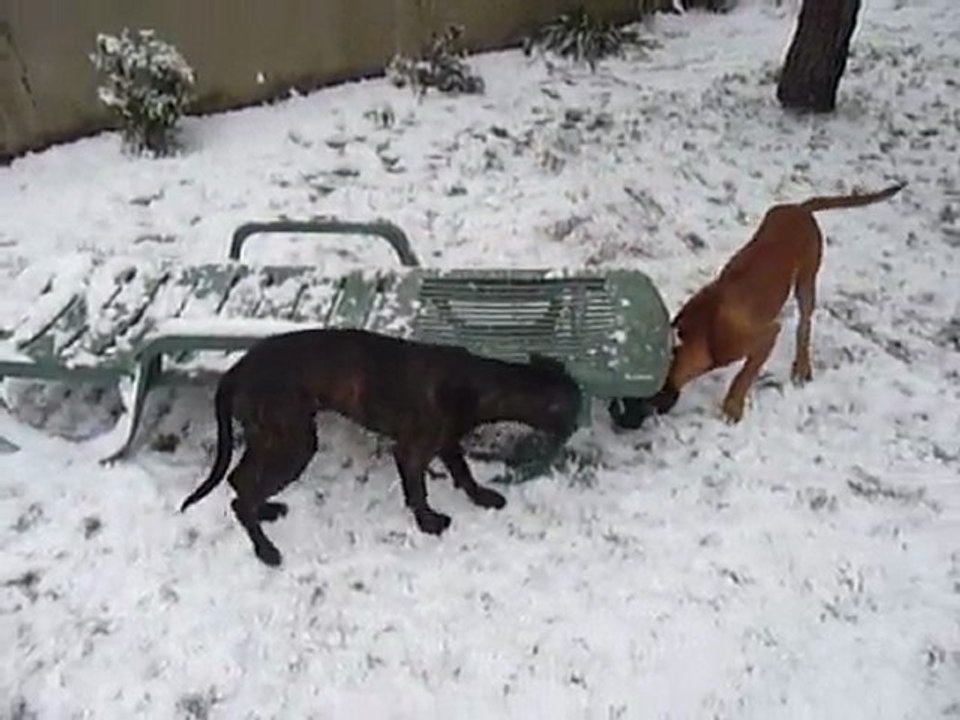 EWANE et EOLE dans la neige - Décembre 2009 vol.2